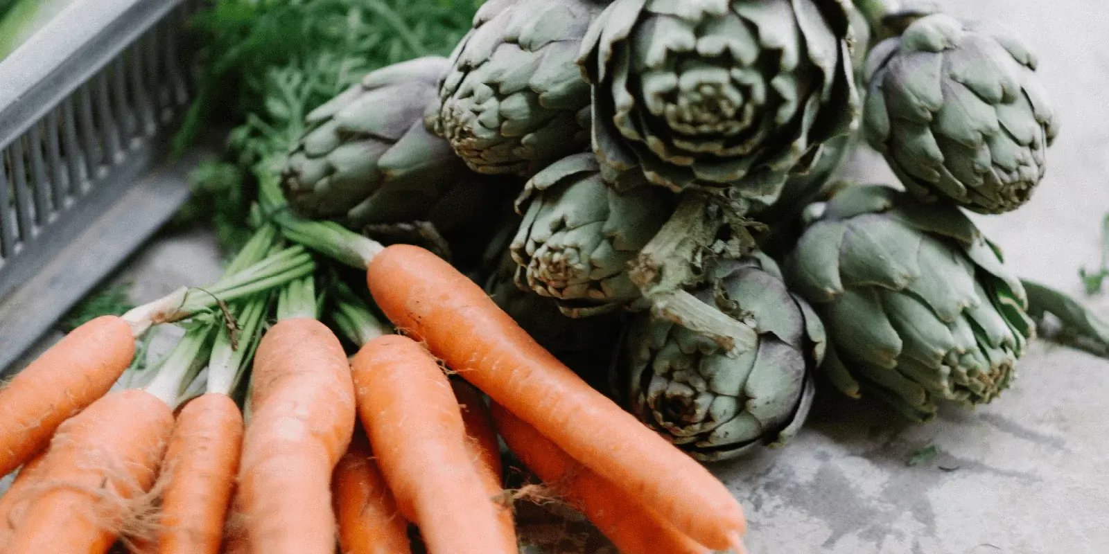 fuel50-PlantFoodResearch_bg-bg