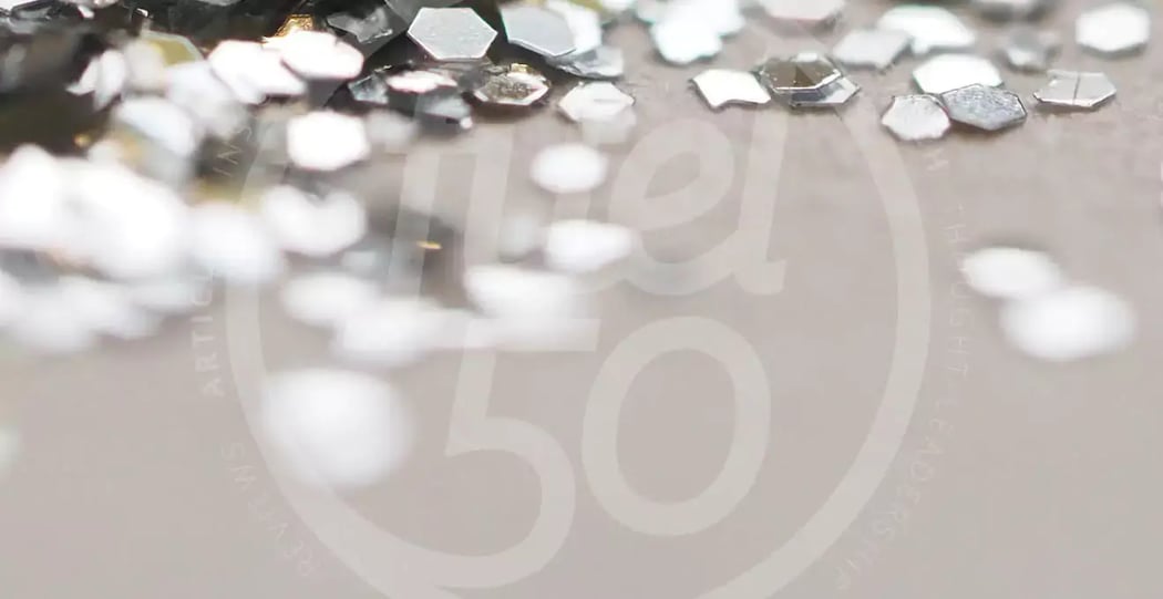 Fuel50 CEO Anne Fulton wins a Silver Stevie® Award for Women in Business