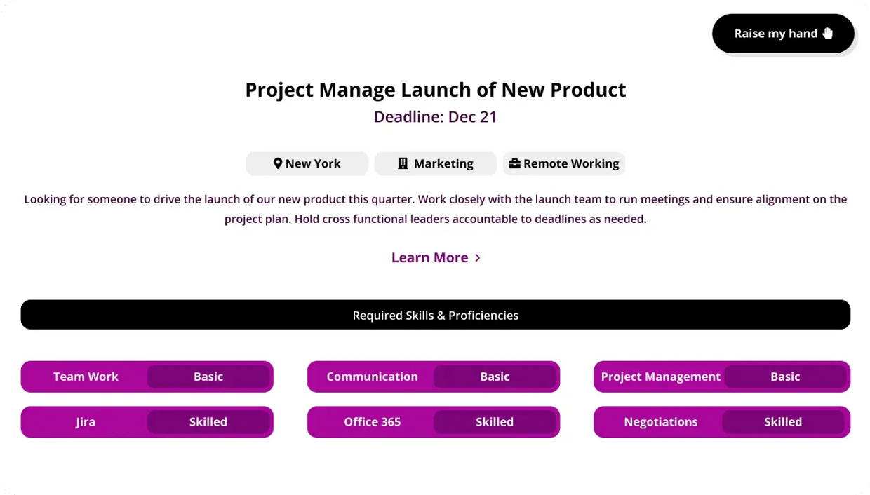 Project Manage Launch of New Product