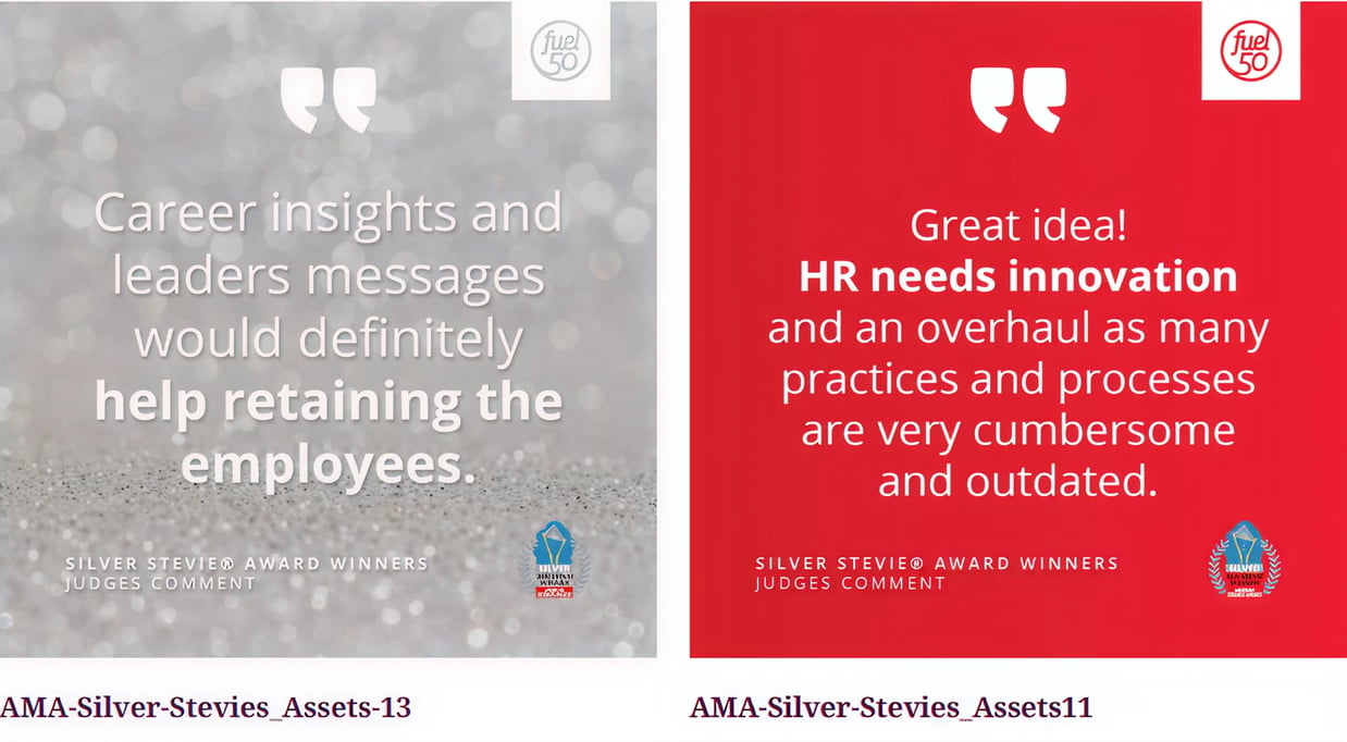 AMA-Silver-Stevies