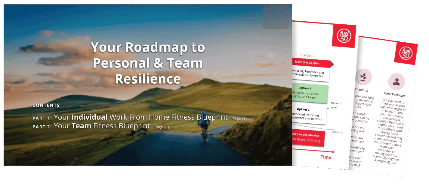 RoadmapToPersonalAndTeamResilience_800px_Reduced.png
