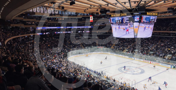 Madison Square Garden Fuel50 Employee Experience