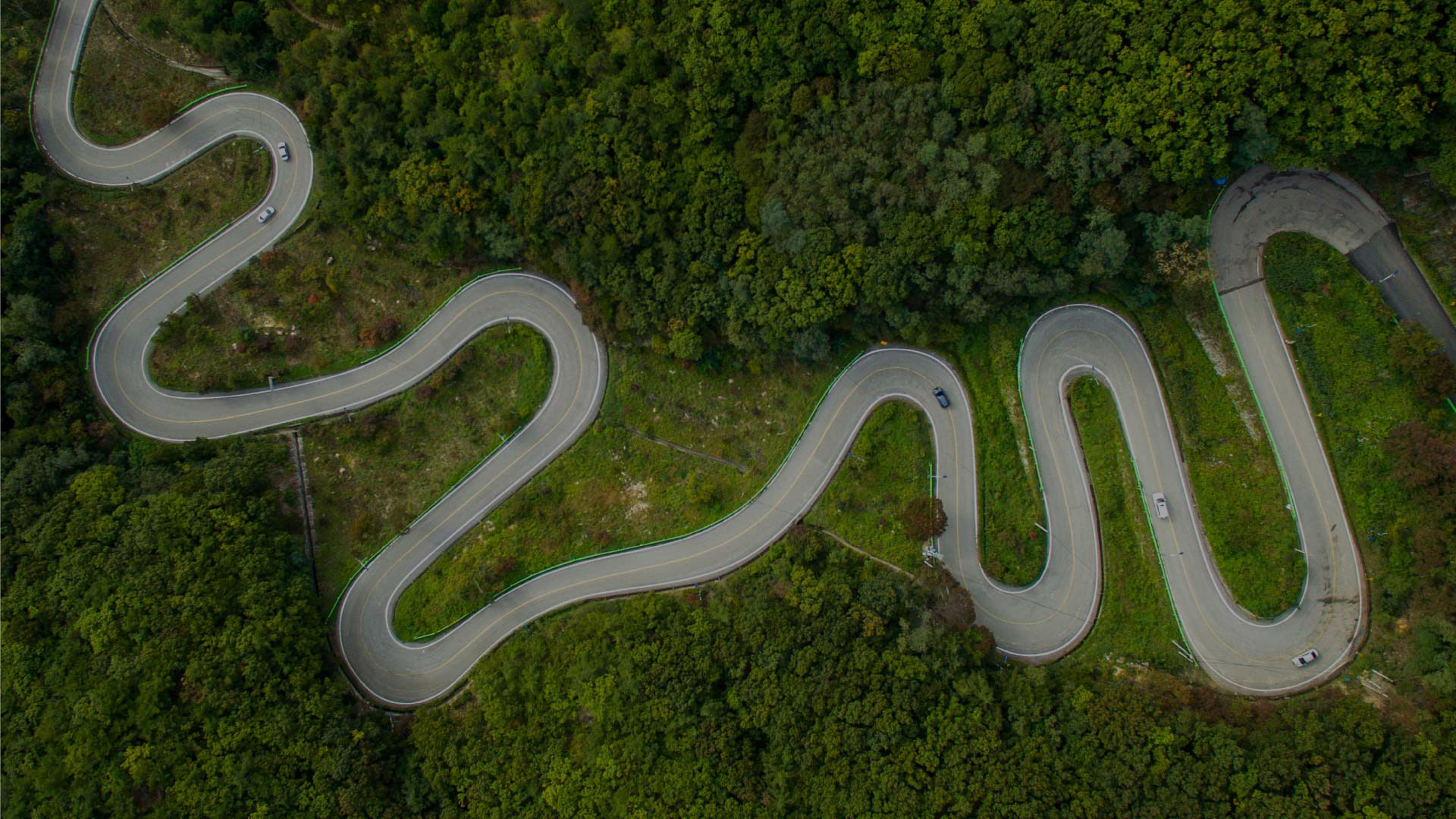 Skills Transformation Roadmap