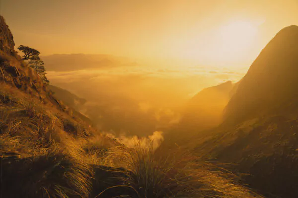 sunset over a valley the new post-pandemic workplace