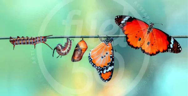 People, Talent & Transformation: Empowering Your People to Learn and Grow