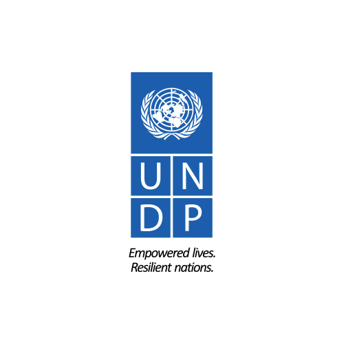 UNDP logo